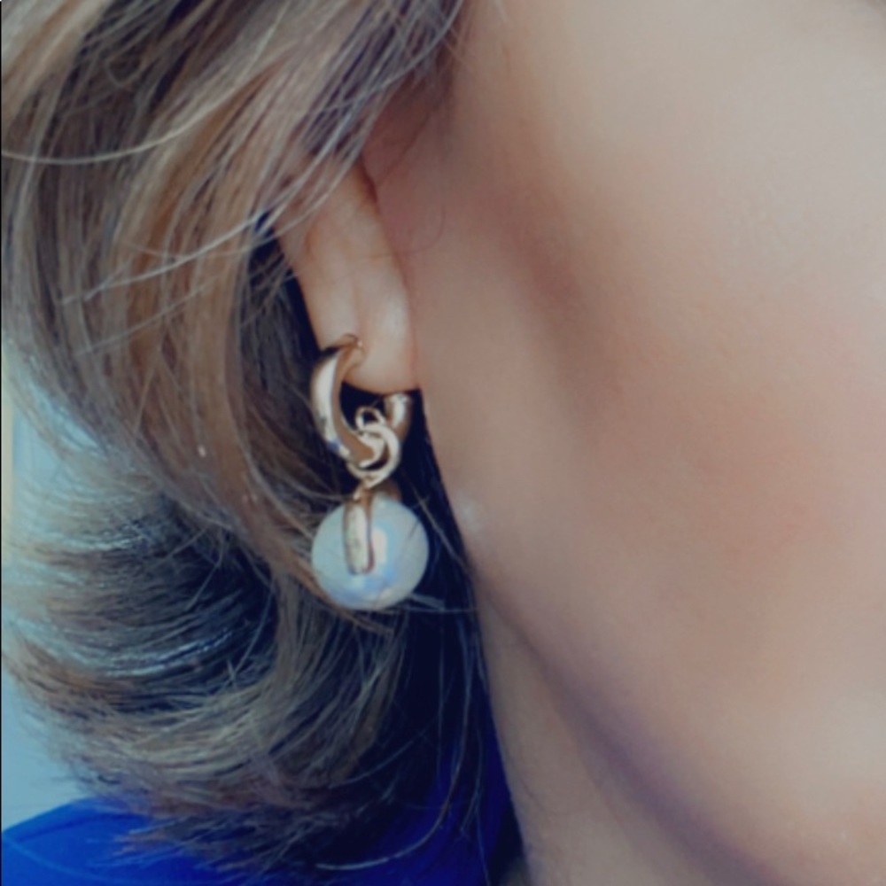 Celine style Earrings